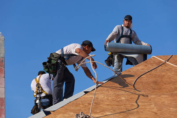 Best Flat Roof Repair Services  in Eugene, OR