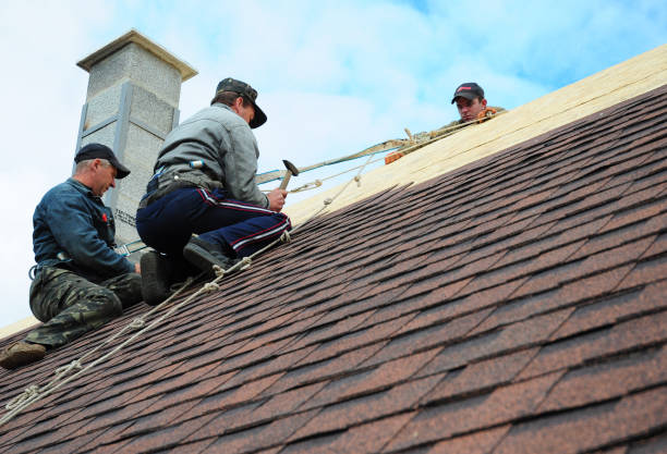 Best New Roof Installation  in Eugene, OR